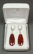 Ruby Red, Agatized Dinosaur Bone (Gembone) Earrings #84745-2